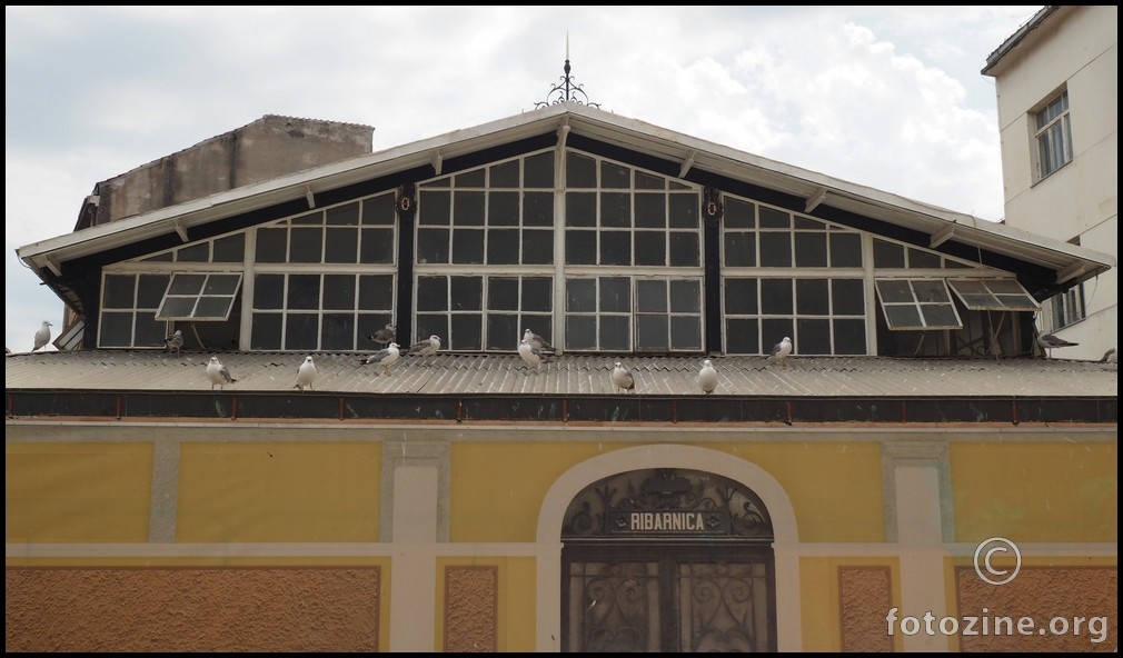 Čekajući Godota/ribara/