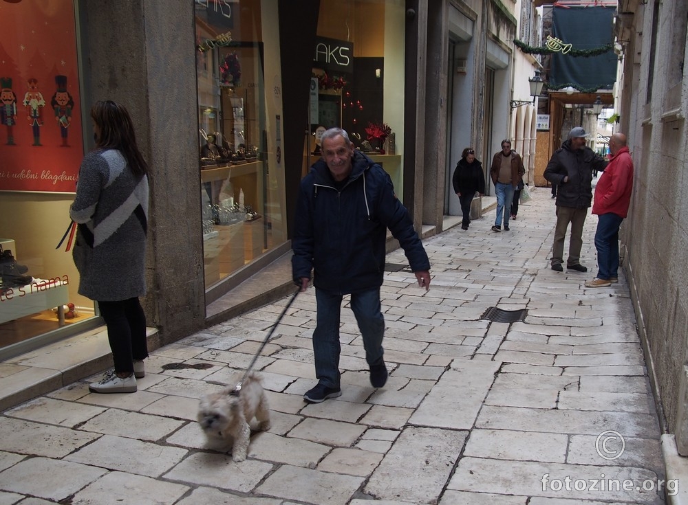 šaptač p(a)sima