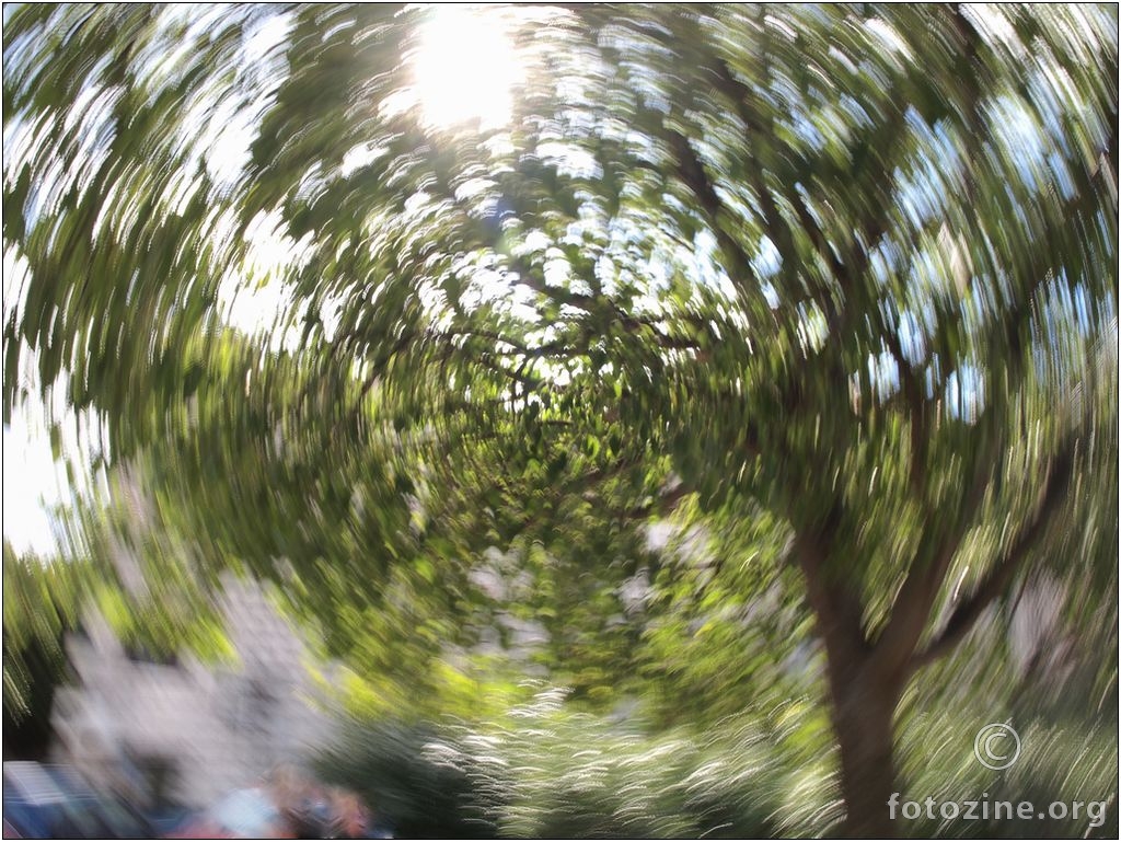 "ošamut"