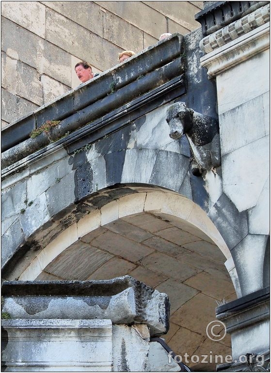 znatiželjni pogledi