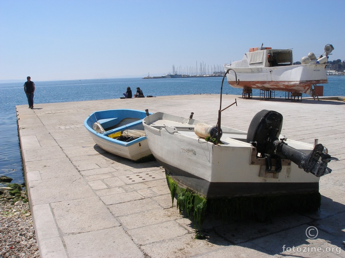 foto br. 435031