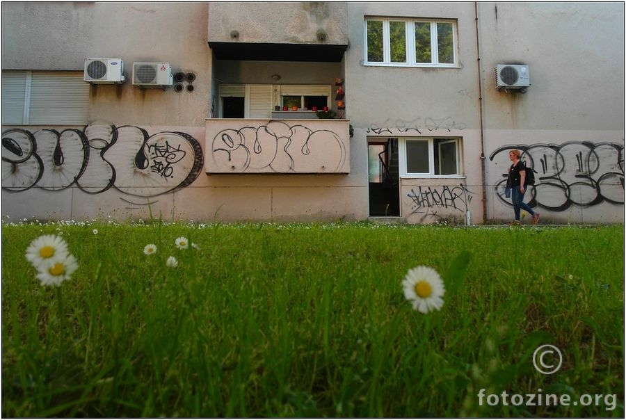 žena, cvijeće, grafiti
