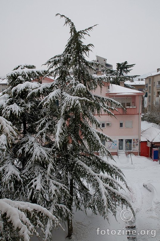Mostar-12.02.2012.