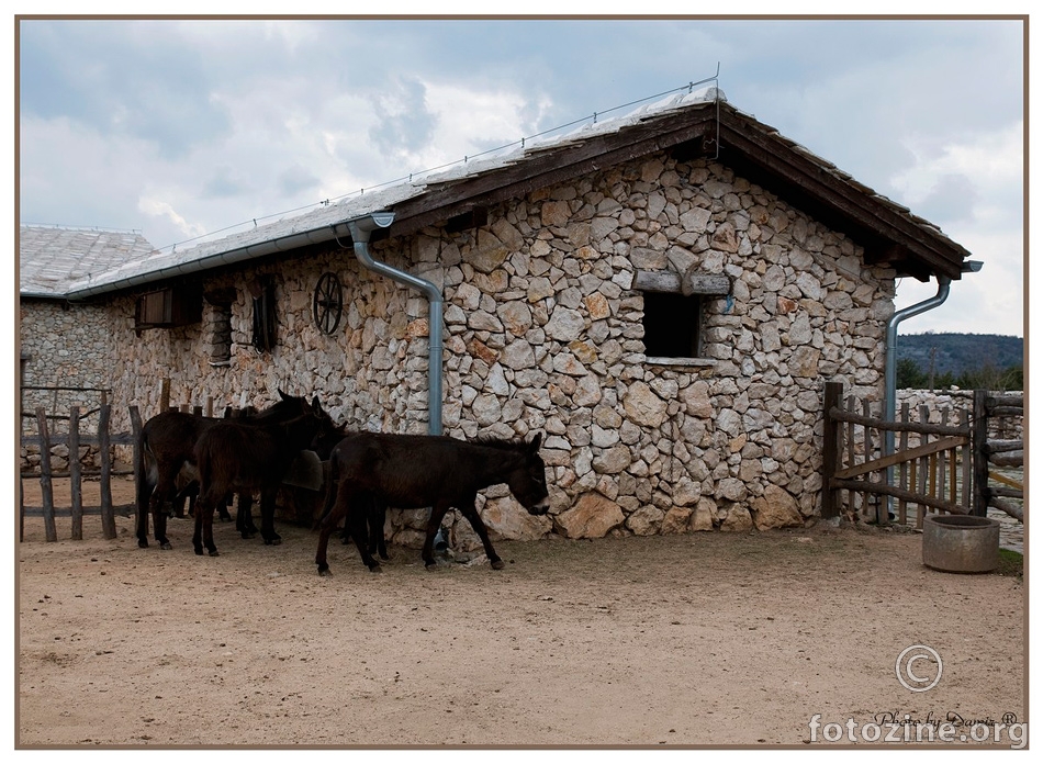 Etno selo-Međugorje-tovari