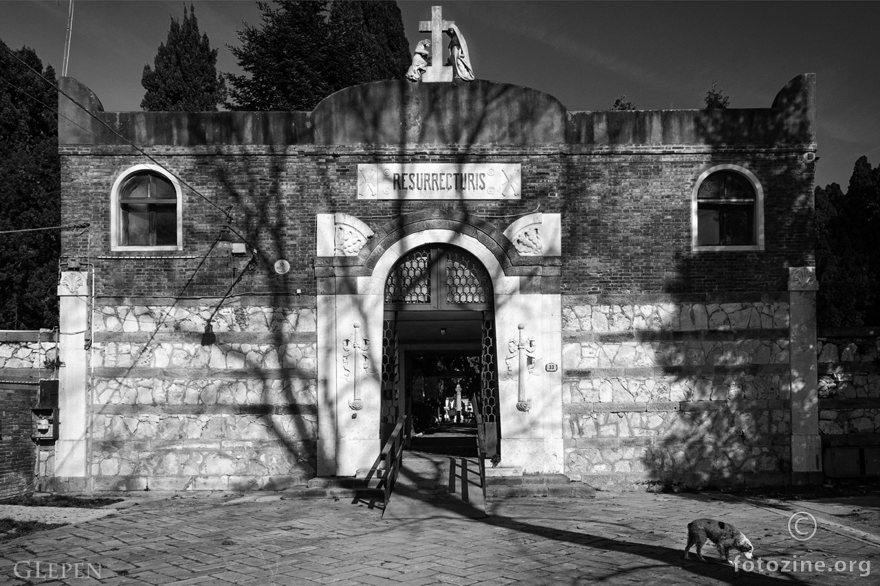 Pseća depresija II.