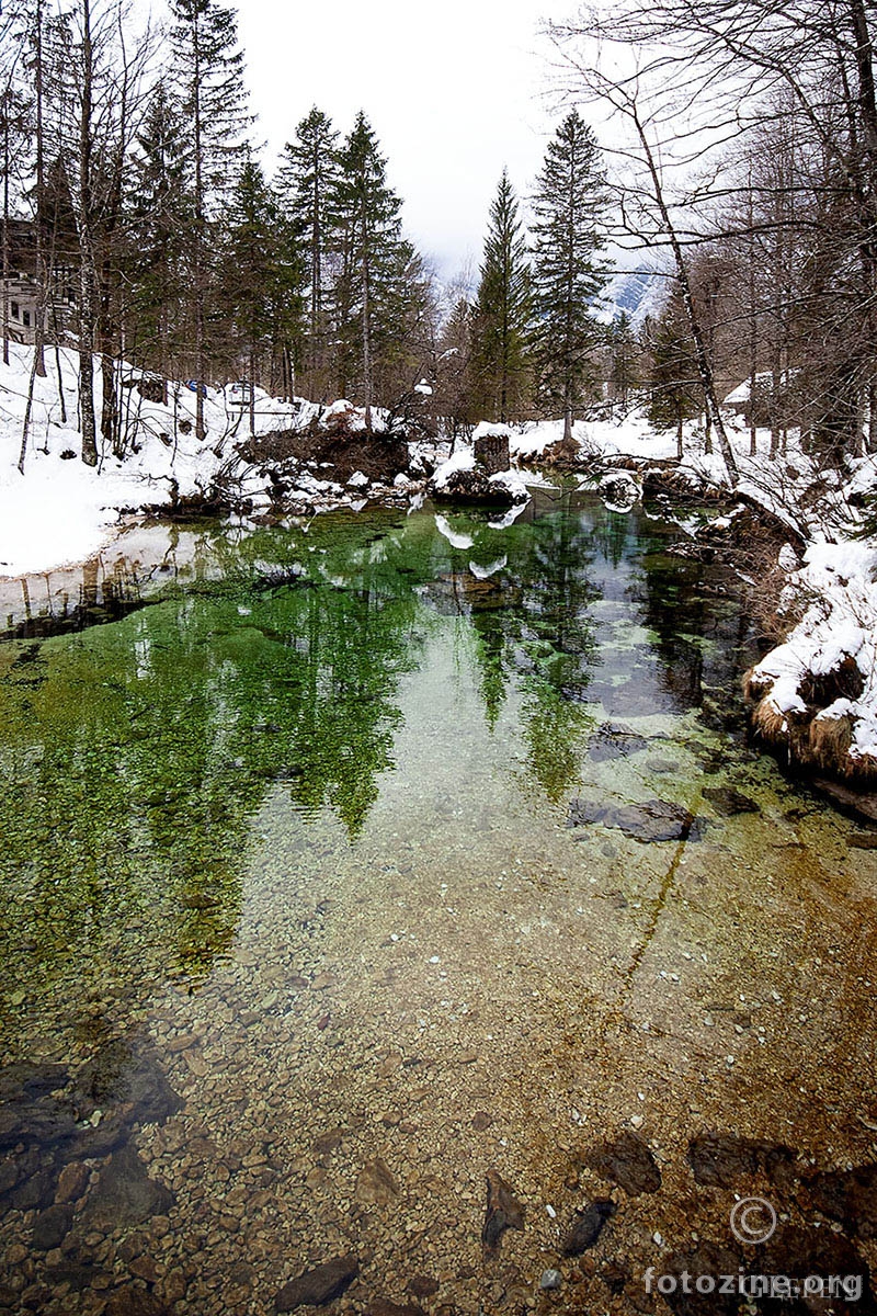 Sava Bohinjka