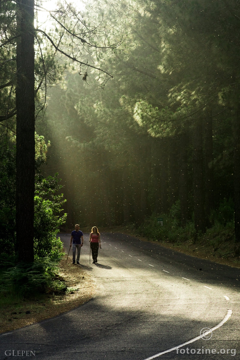 Walk in the park