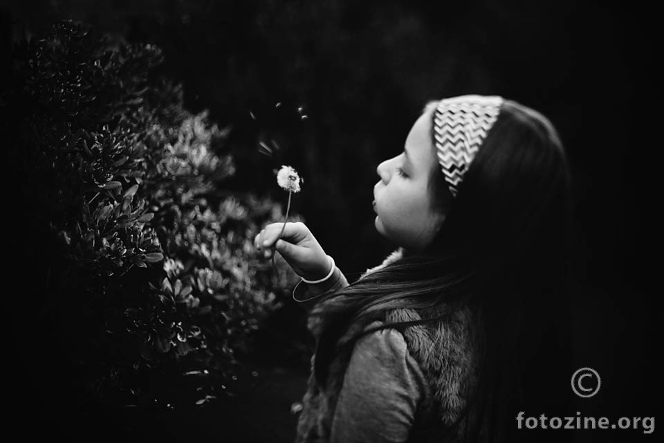 foto br. 692153