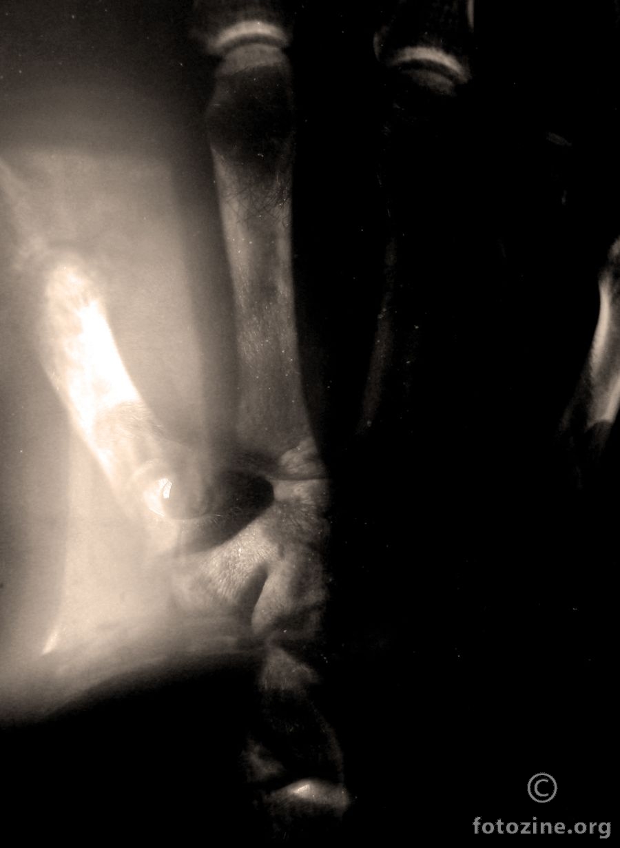 foto br. 458762