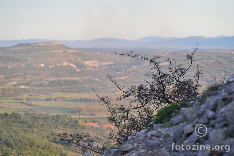Bribirska glavica