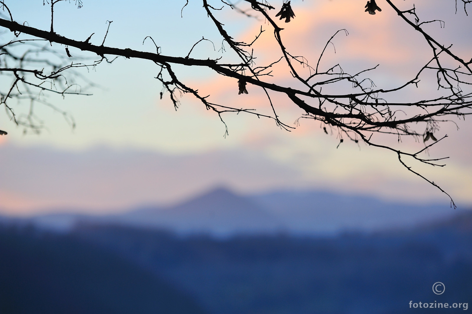 Nad Dolinom kardinala