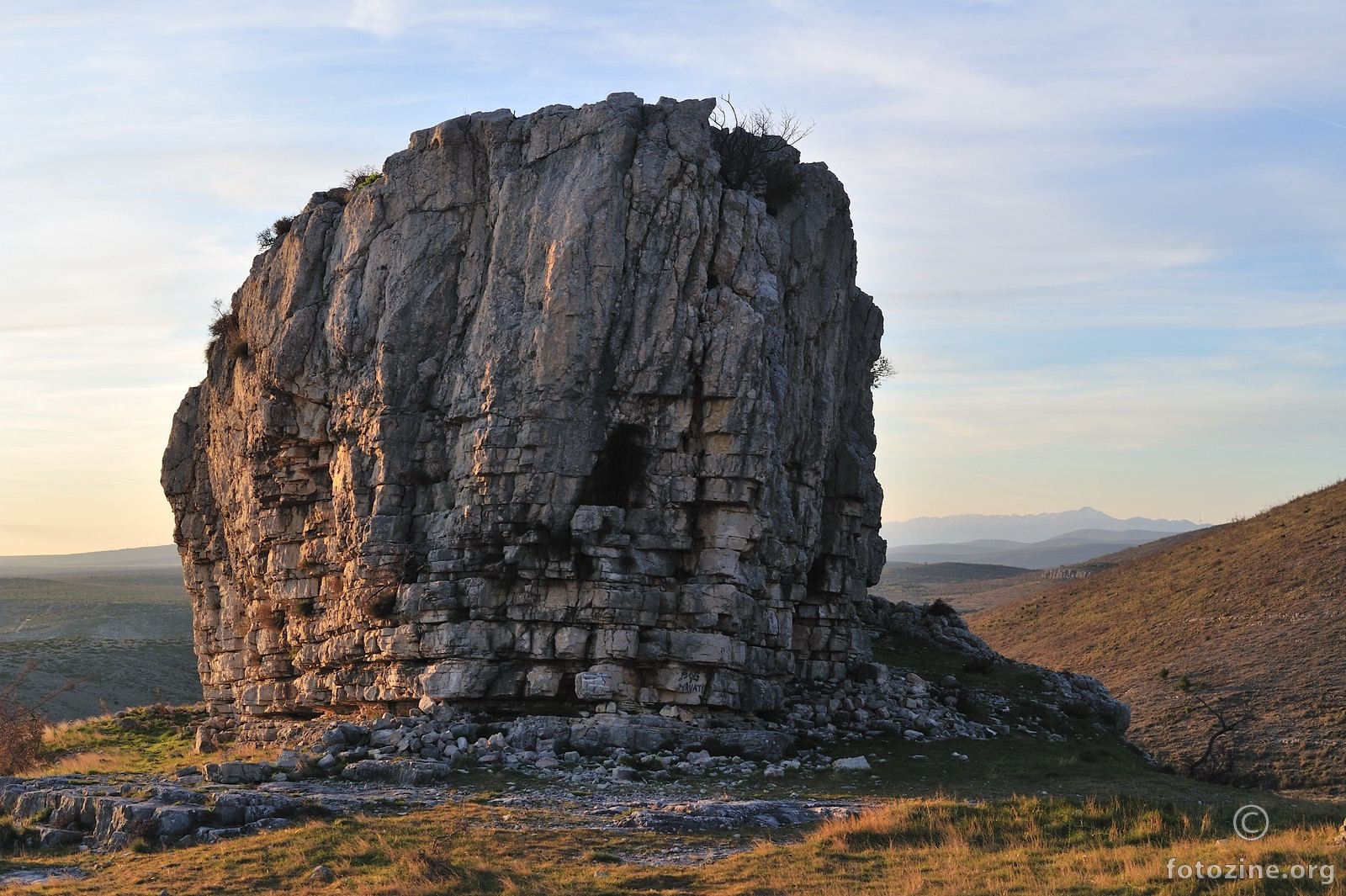 Ostrovica