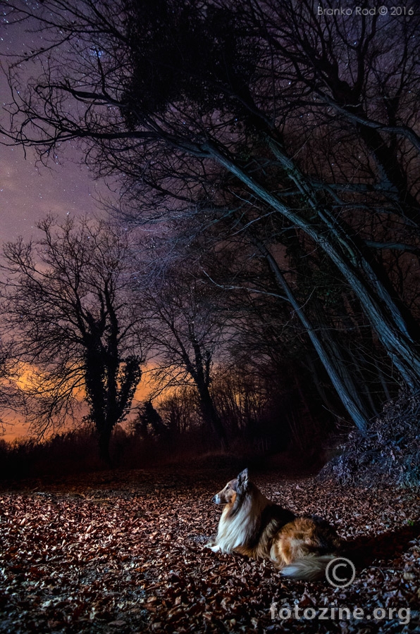the night watch