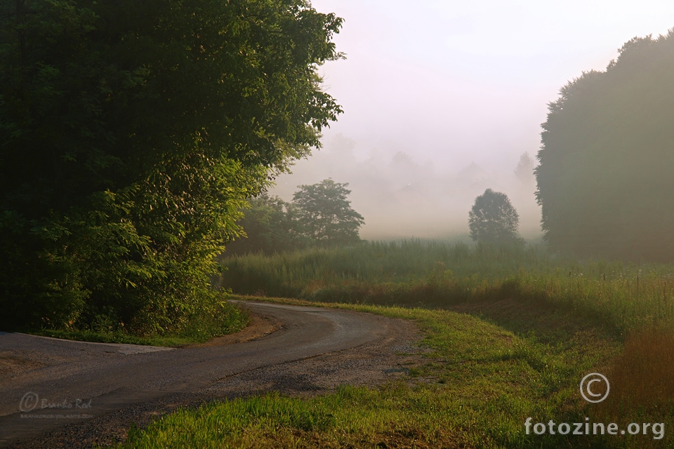 ride into the mist