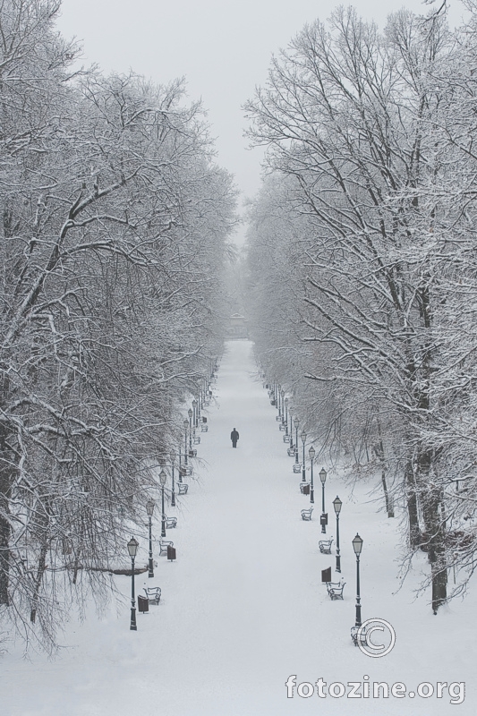 winter walk