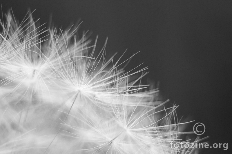 breath