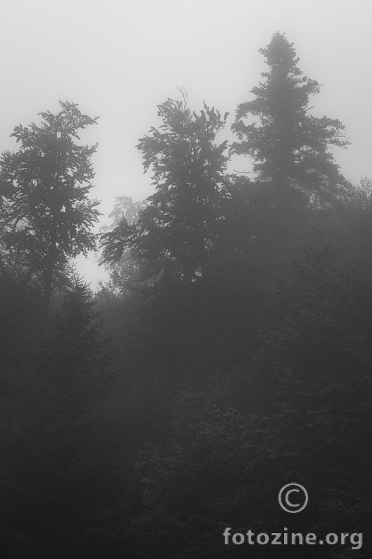 walking the ghost