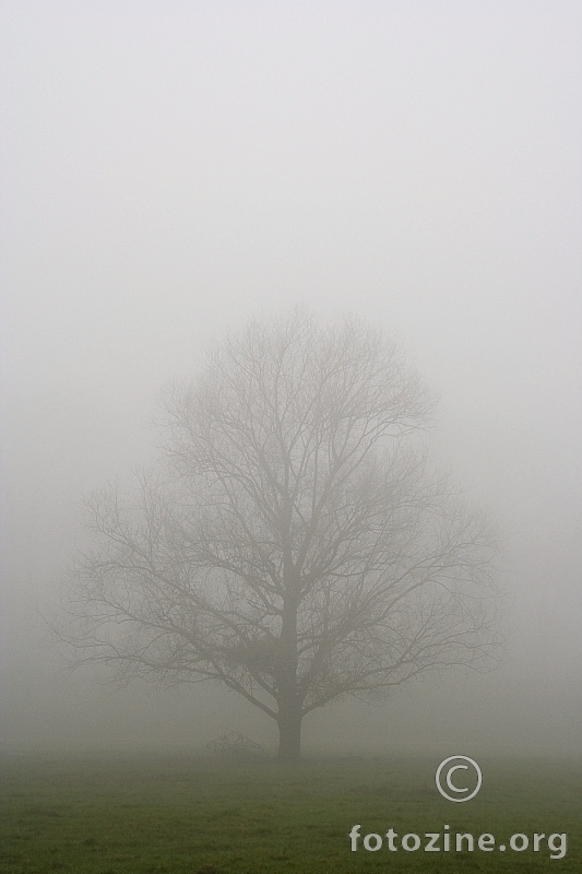 01 in the fog