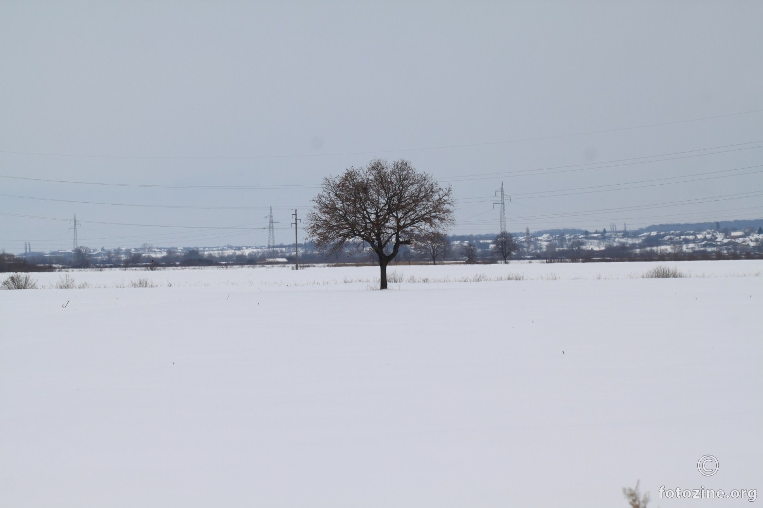 slavonska ravnica sa snjeznim prekrivacem