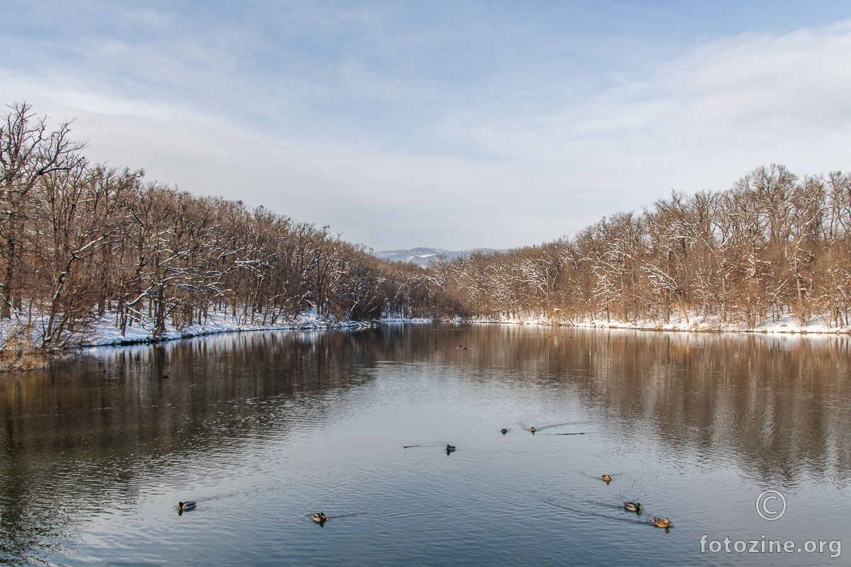 Maksimirsko jezero