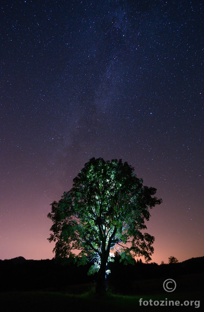 svemirsko stablo