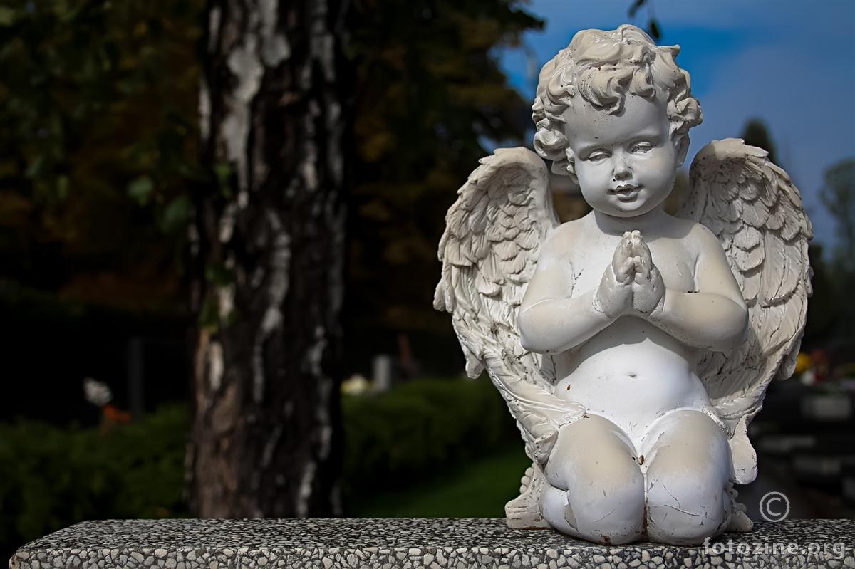 Angel of Zagreb