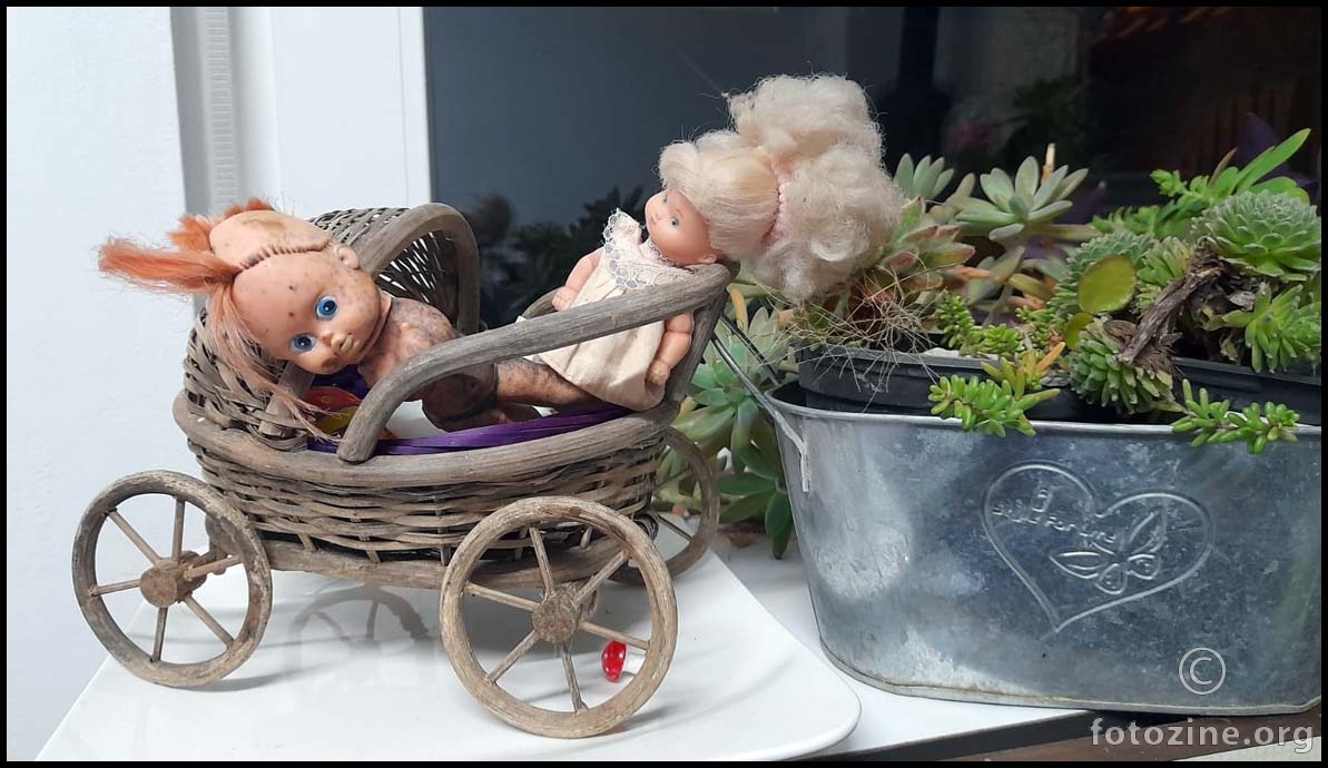 ostavljena, a ne zaboravljena...