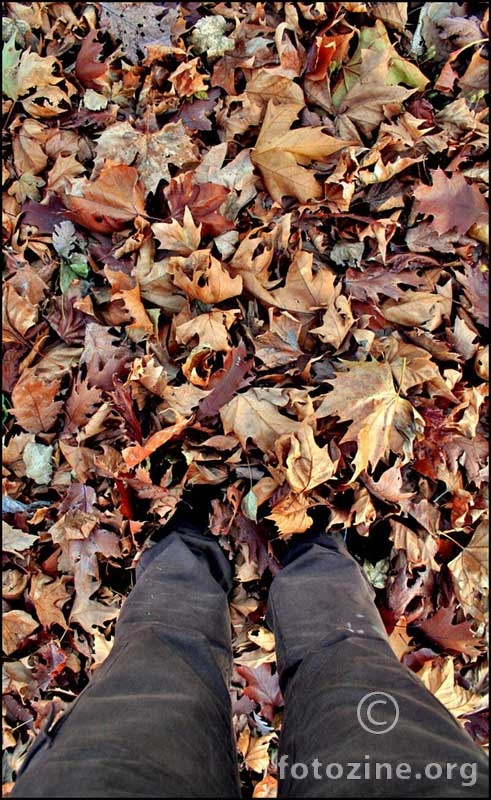 Jesen u mojim nogama
