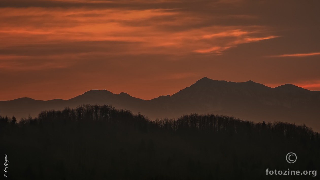 Risnjak pred noć...