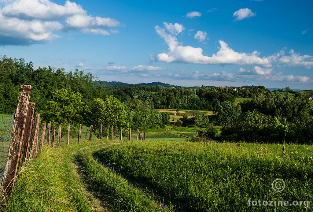 Putom u polje