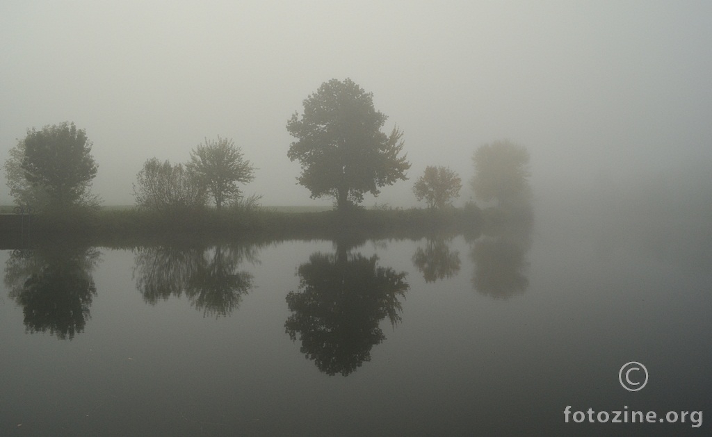 foggy 1