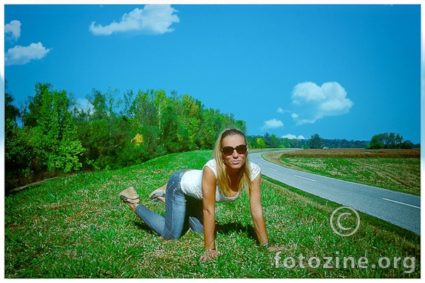 foto br. 772358