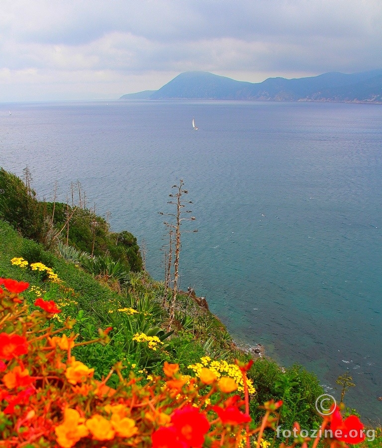 Elba