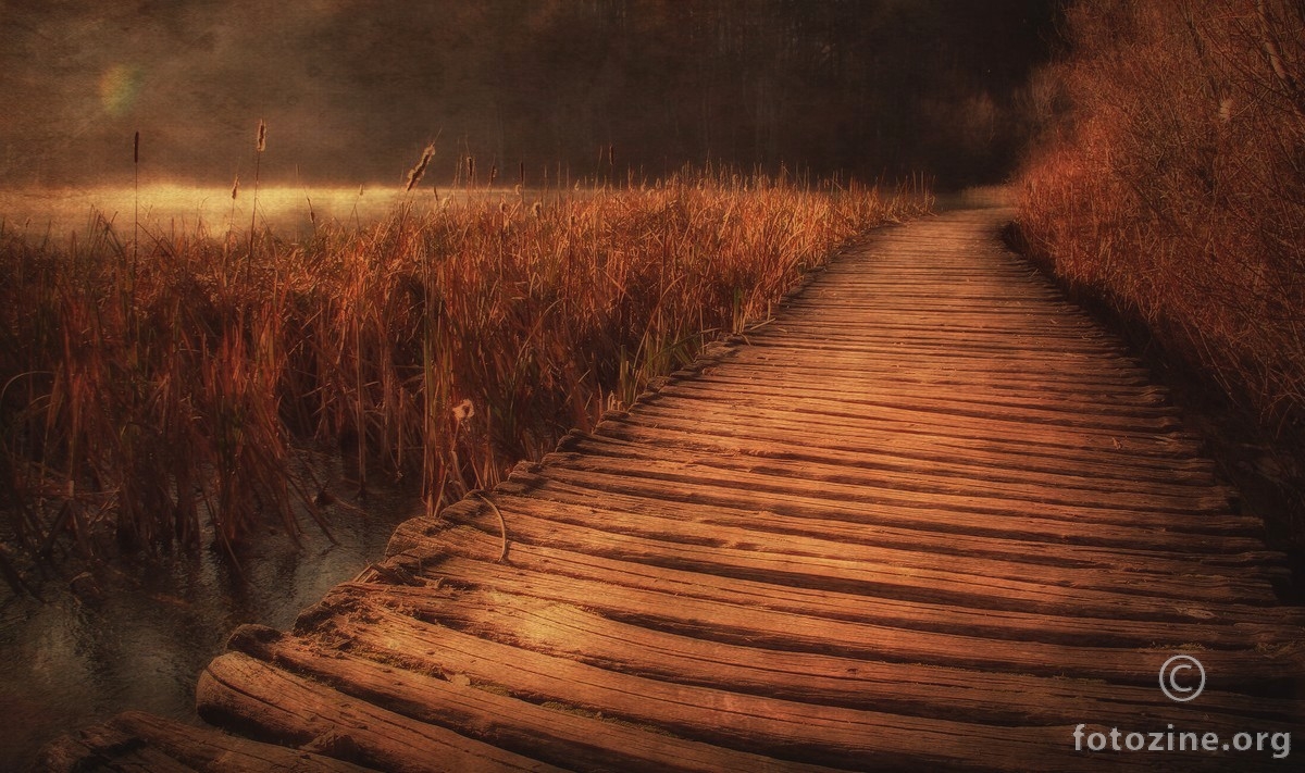 Golden Way