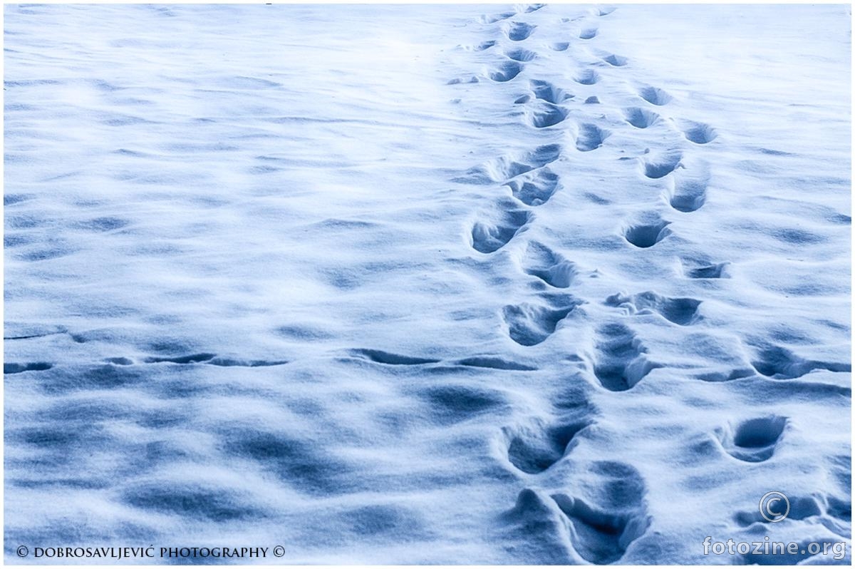 snowsteps