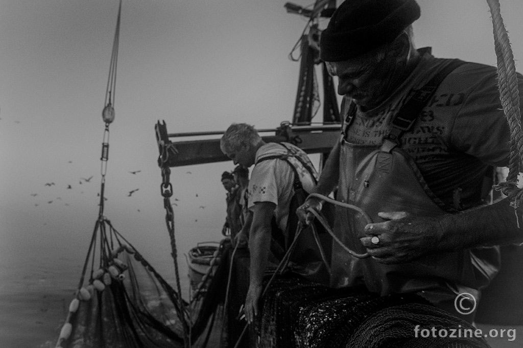 foto br. 695634