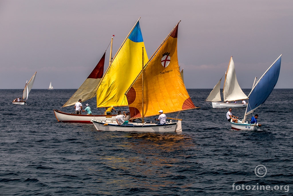 Regata tradicionalnih brodica Rovinj.