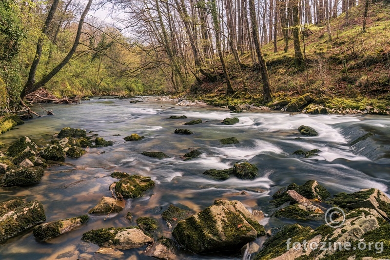 Rječina