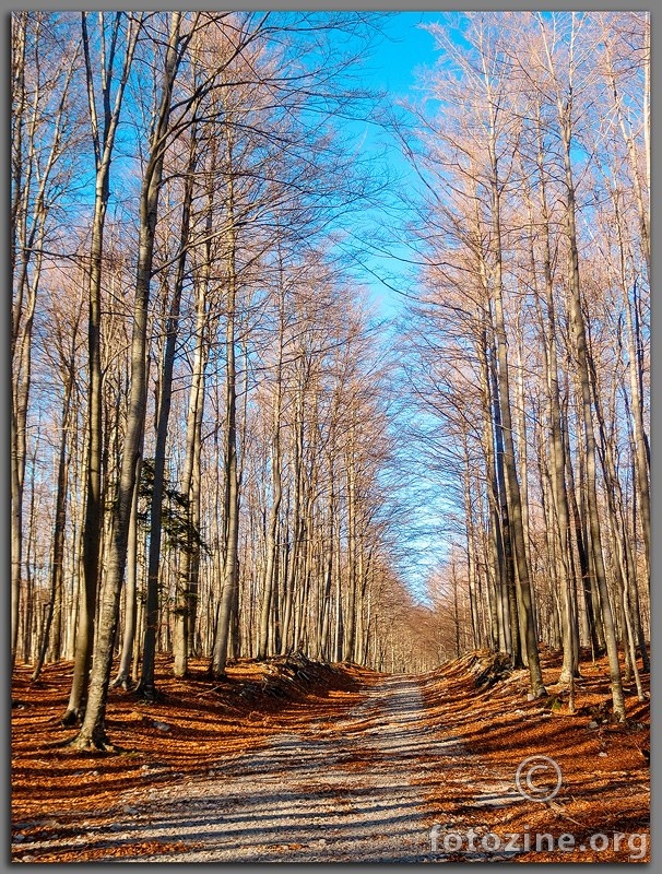 Negdje u Grobničkim Alpama