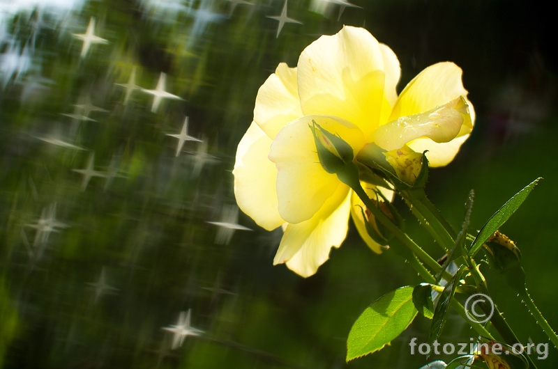 Bokeh lens