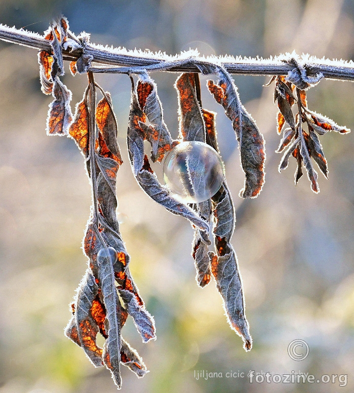 "Zima zima ..e pa šta je..." :)