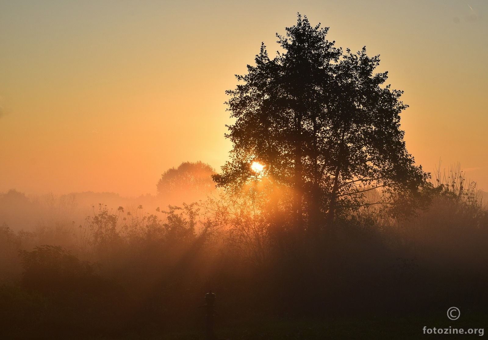 čarobno jutro ♥