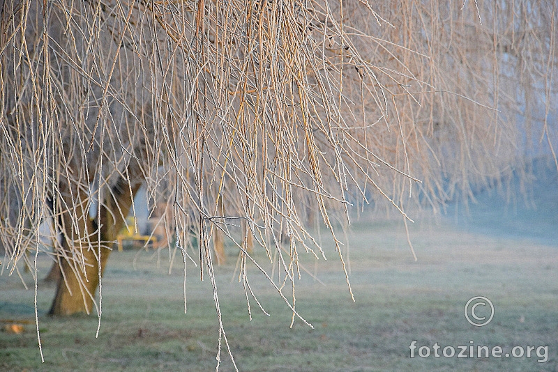 vilinsko jutro