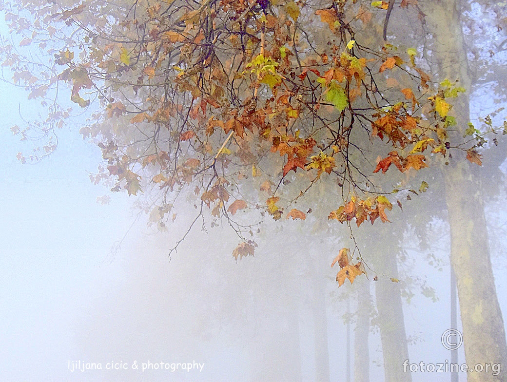 jesen u magli