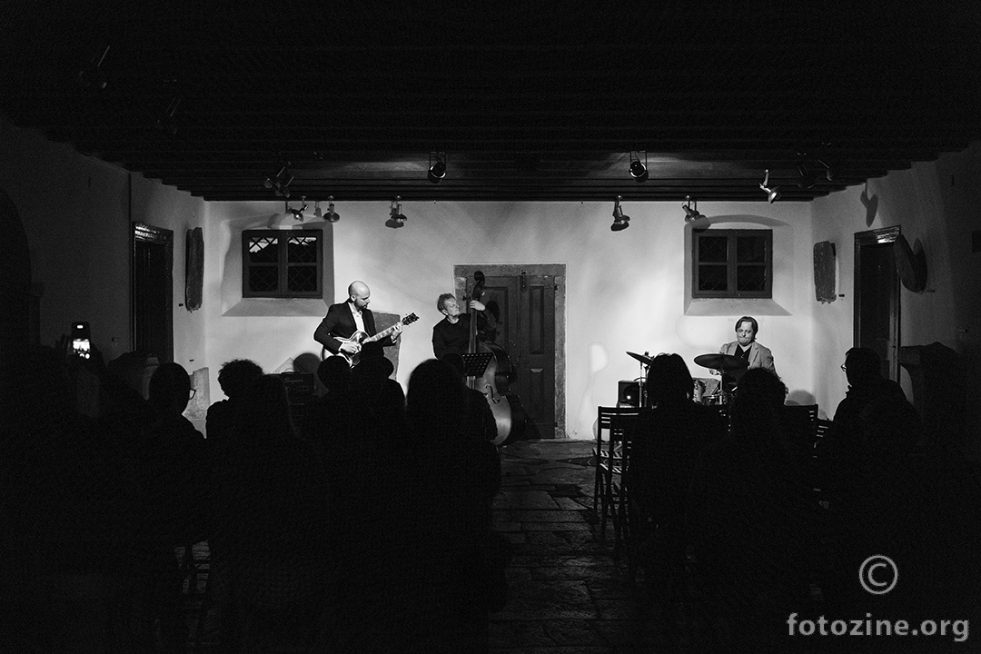 Zvonimir Radišić Trio