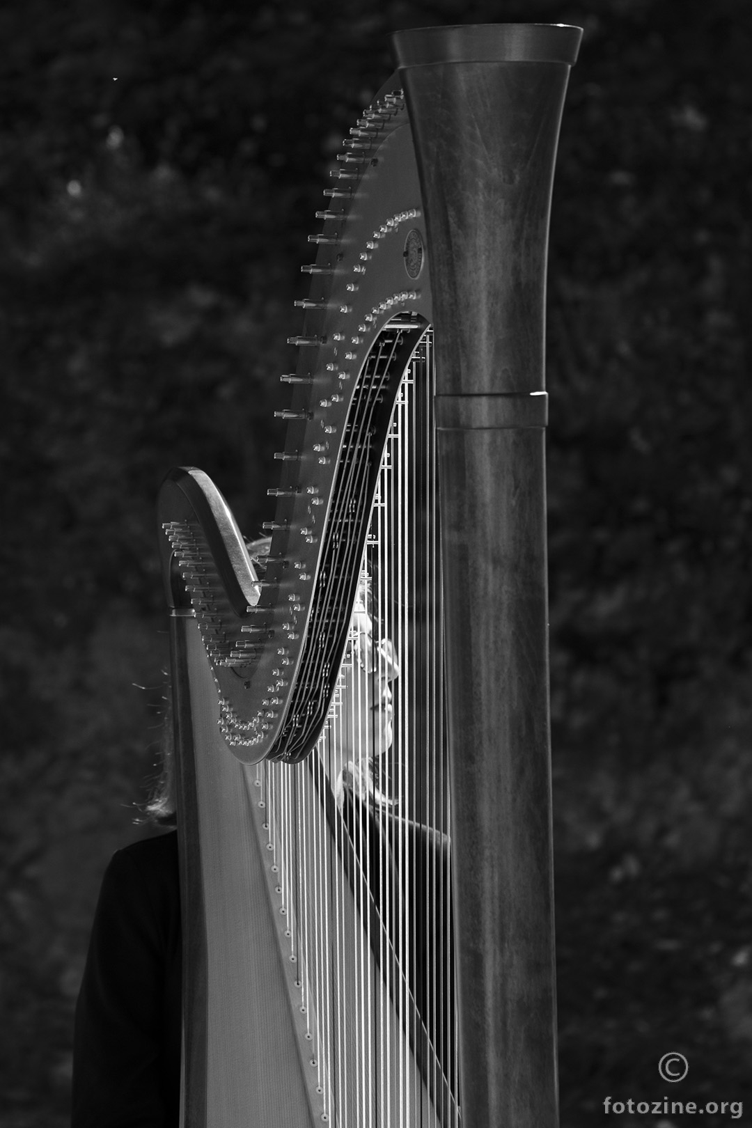 Harfa i harfistica