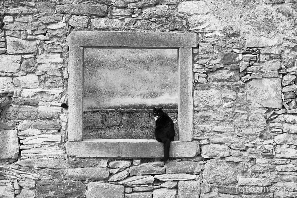 Mačka u prozoru