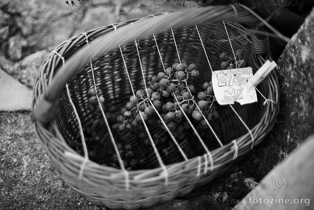 Besplatno grožđe