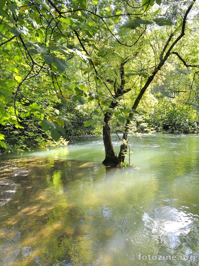 Krka