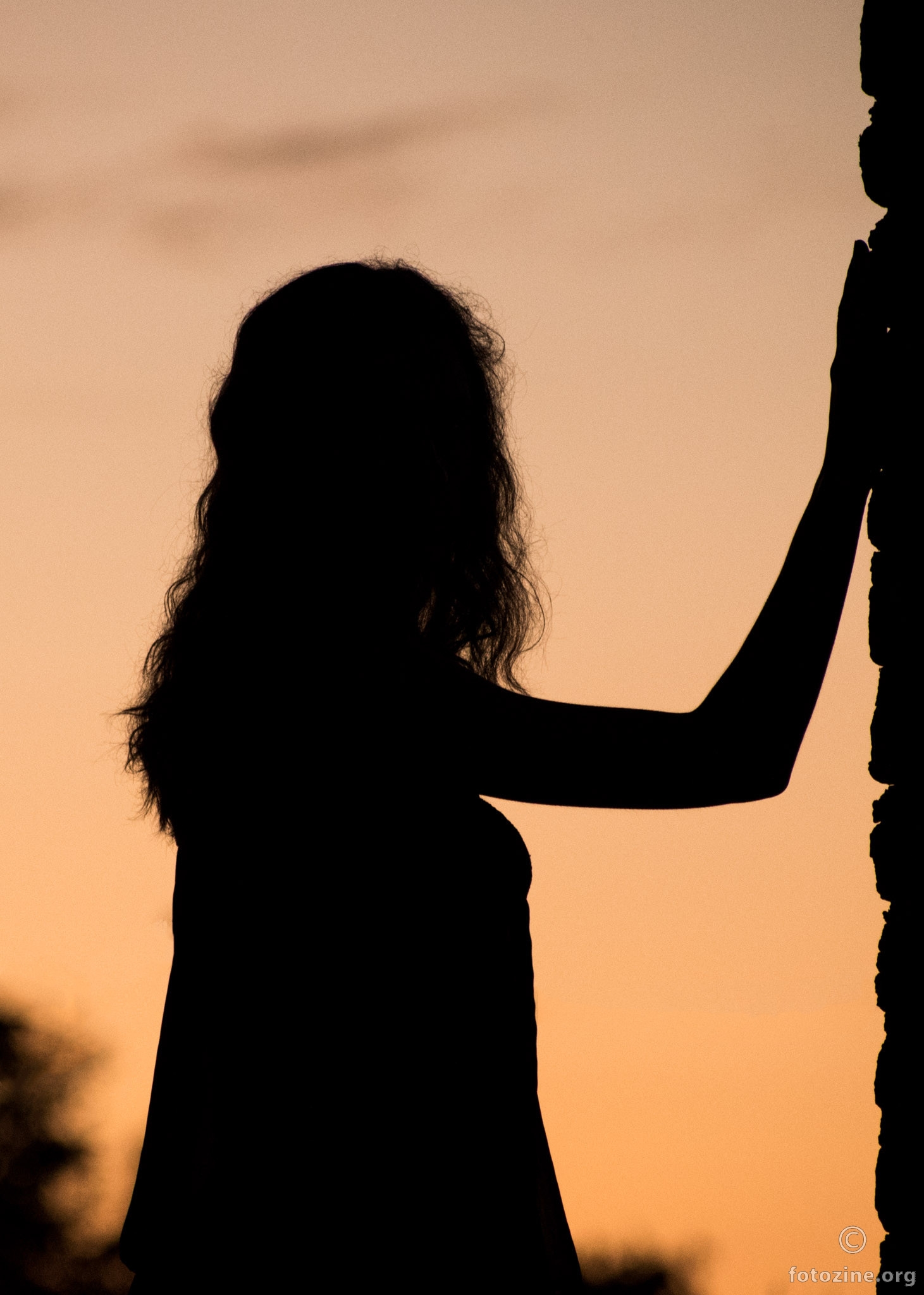 Sunset Silhouette (III)
